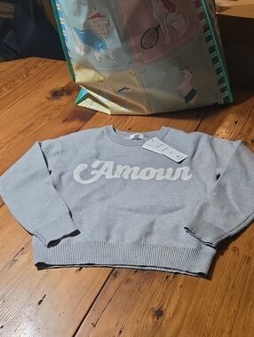 Nwt Pinque Stitch Fix Sz 14 Light Gray 'Amour' Crewneck Sweater